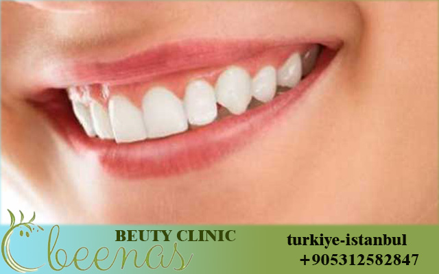 Oral health services in Turkey